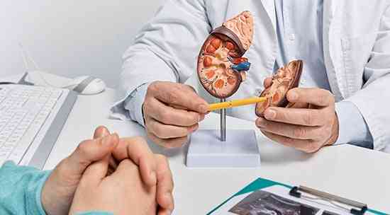 doctor discussing kidney transplant to patient