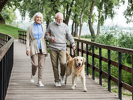 elderly couple walking dog in a park